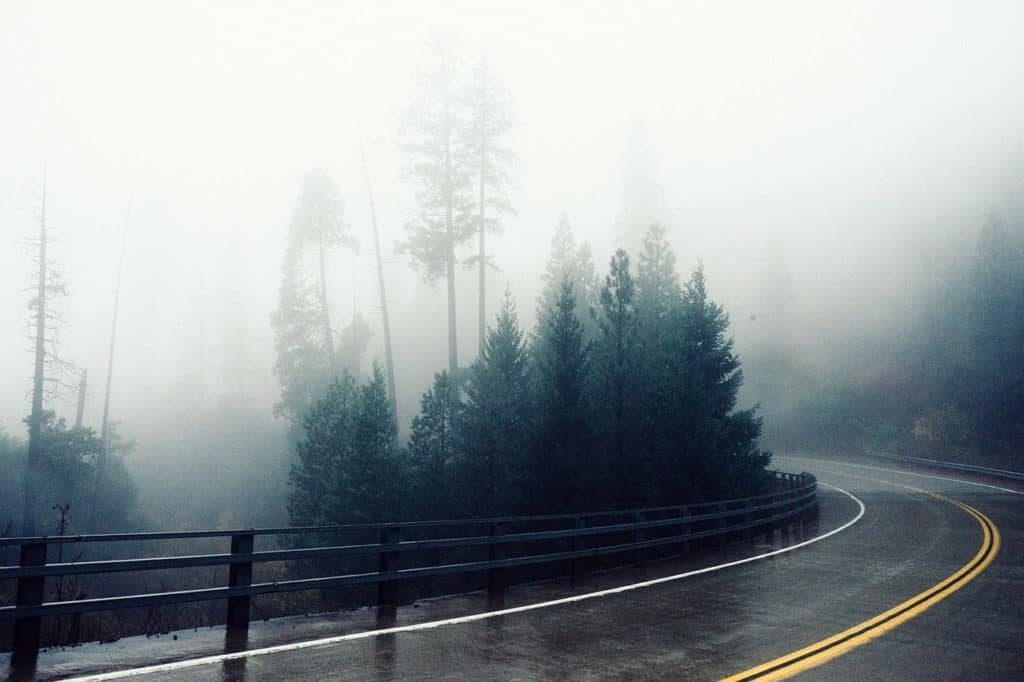 Image of wet winding road heading into foggy evergreen woods.