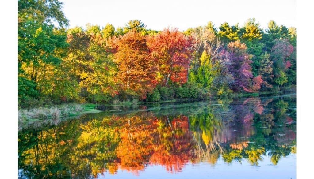 Trees in fall colors reflected in a still lake representing harvest reflections.