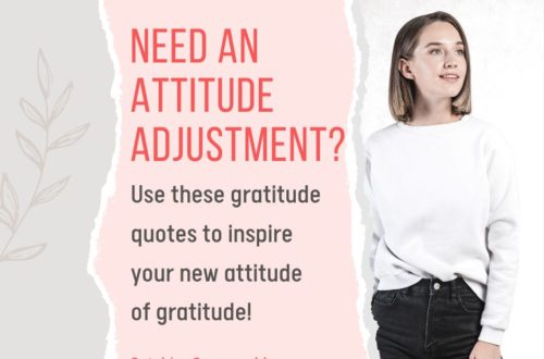 These gratitude quotes will inspire your new attitude of gratitude!