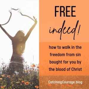 Free indeed! How to walk in the freedom from sin bought for you by the blood of Christ.