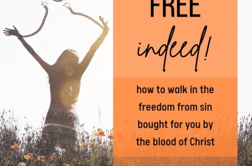Free indeed! How to walk in the freedom from sin bought for you by the blood of Christ.