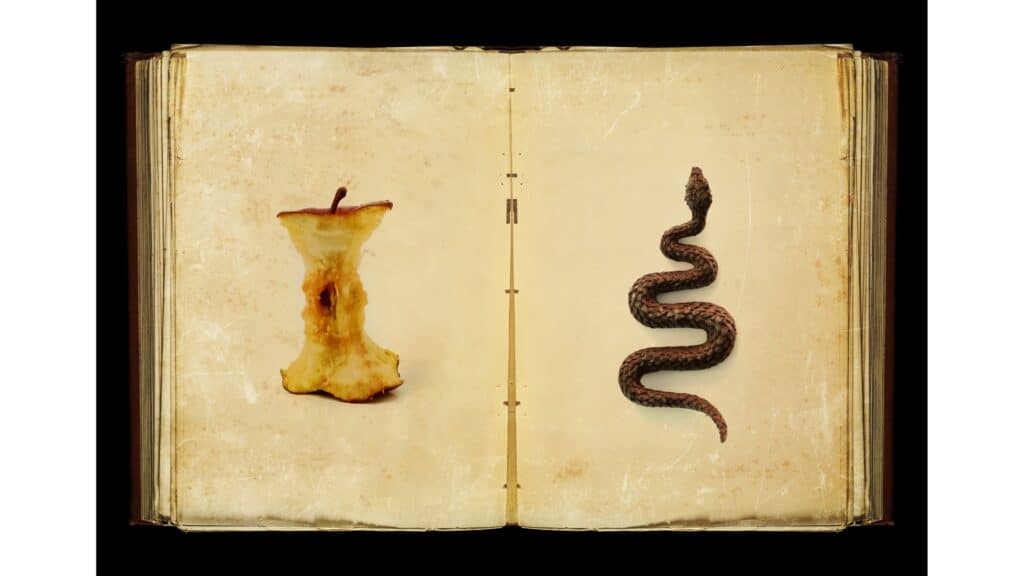 An old-looking book open to pages depicting sin with images of an apple core and a snake.